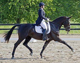 Reese Koffler-Stanfield on Arwen Evenstar :: Photo © Audrey Crosby