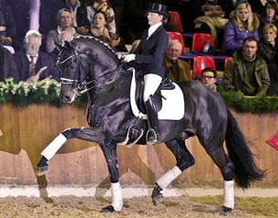 Furstenball (by Furst Heinrich x Donnerhall x Classiker) :: Photo © LL-foto