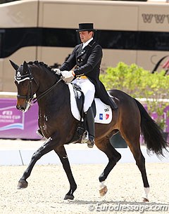 Zenith de Pessel (by Gribaldi x Ronaldo) :: Photo © Astrid Appels