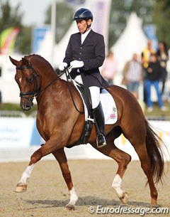 Emile Faurie and Duke Ellington at the 2013 World Young Horse Championships :: Photo © Astrid Appels