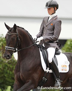 Tom Franckx at the 2013 World Championships for Young Dressage Horses :: Photo © Astrid Appels