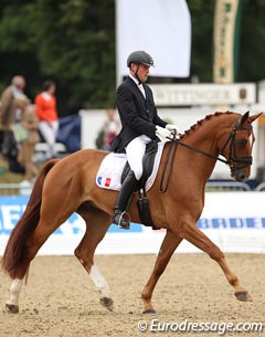 Domingho H at the 2013 World Young Horse Championships in Verden, Germany :: Photo © Astrid Appels