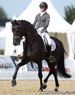 Marieke van der Putten and Che de Jeu at the 2013 World Young Horse Championships :: Photo © Astrid Appels