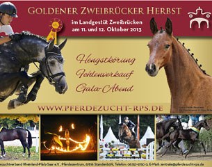 2013 Zweibrucken Stallion Licensing