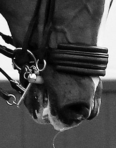 Nosebands: the thicker, the wider, the better?