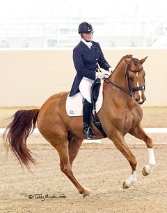 Leslie Reid on Fine and Smart at the 2014 CDI-W Burbank :: Photo © Terri Miller