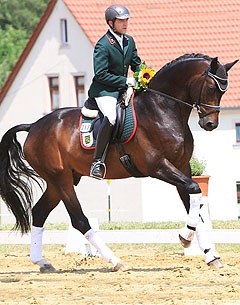 Kay Pawlowska and Furstenstern at the Burgstadt Bundeschampionate qualifier :: Photo courtesy Landsgestut Moritzburg