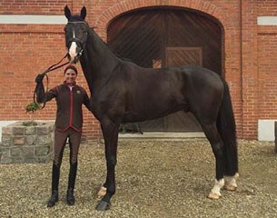 Shawna Harding with her new horse Regent in Denmark