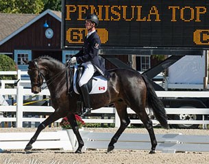 David Ziegler and Peninsula do Top at the 2014 CDI-W Devon :: Photo © Mary White