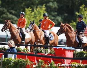 Two Dutch and a Belgian jumper watched the dressage for a while