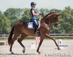 Vai Bruntink and Darabel at the Dutch WCYH Selection Trial in Ermelo :: Photo © Anniek van Schaik