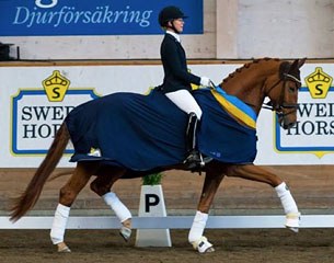 Cecilia Kristoffersen and Scara Boena win the 2014 Swedish Young Horse Championships for 5-year olds :: Photo © Lotta Vess