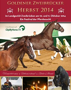 The 2014 Rheinland-Pfalz-Saar Stallion Licensing in Zweibrucken