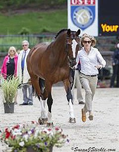 Arlene Page and Alina at the trot up of the 2014 U.S. Dressage Championships and WEG trials :: Photo © Sue Stickle