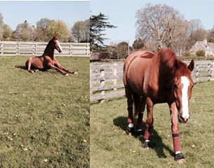 Mistral Hojris chilling in the sun on the 2014 Easter weekend