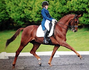 Jessica Blackmore and Don Diego at the 2014 British Youth Riders Championships 