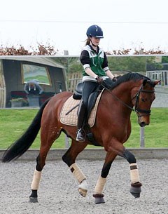 Phoebe Peters aboard Charlotte Dujardin's 5-year old KWPN bred Edison H