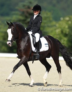 Noa Prijs on Domino at the 2014 CDIO-P Hagen :: Photo © Astrid Appels