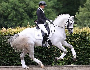 Dutch Emmelie Scholtens and the PRE bred Genciano BCN are selected to represent Spain at the 2014 World Championships for Young Dressage Horses :: Photo © Jessica Pijlman