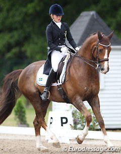 Emelie Aldenfalk and Winton at the 2014 CDI Kapellen :: Photo © Astrid Appels