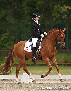 Karoline Rohmann on Adriano B at the 2014 CDI Kapellen :: Photo © Astrid Appels