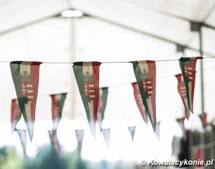Hungarian flags in the Kaposvar stables