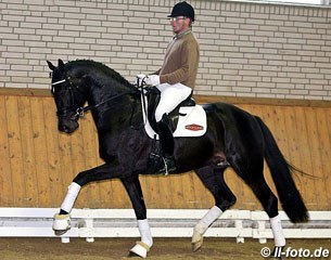 Heiko Klausing aboard the Oldenburg licensed 3-year stallion Tolegro (by Totilas x Krack C x Ferro x Variant) :: Photo © LL-foto
