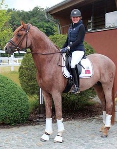 Fie Skarsoe and her new ride, Trakehner licensing champion Donauruf