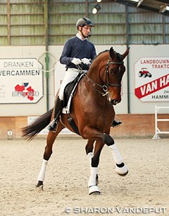 Jeroen Devroe and Eres DL at a clinic in Moerzeke, Belgium :: Photo © Sharon Vandeput