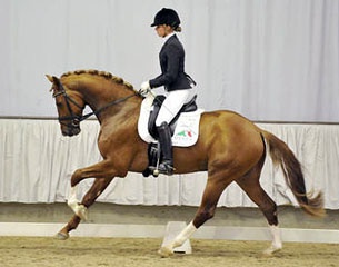 Villeneuve (by Vitalis x Dancier) :: Photo © Sabine Wegener