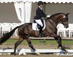 Tessa Frank and the Westfalian reserve champion of the 4-year old mares and geldings, Senator Nymphenburg, have qualified for the 2014 Bundeschampionate :: Photo © LL-foto