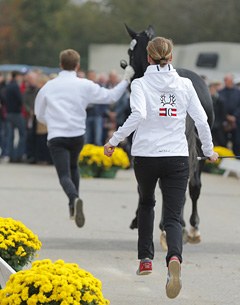 The 2014 Trakehner Stallion Licensing has kicked off with an international crowd of participants and spectators :: Photo © Stefan Lafrentz