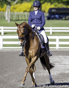 Sheena Ross on Parkridge Disco SW at the 2014 FEI World Challenge in New Zealand :: Photo © Libby Law