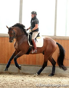 Riding for the U.S.A. at the 2014 World Young Horse Championships in Verden, Matt Johnson and Petersborg Qasanova (by Quaterback x Calypso II) are still in Europe for a few more days