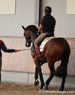 Qasanova has talent for the piaffe and showing some nice half steps