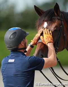 Steffen Peters and Legolas