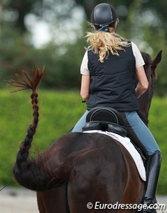 Pony and horse tail