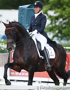 Anne van Olst and Chippendale at the 2014 CDI Roosendaal :: Photo © Astrid Appels