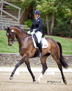 Eliane Cordia-van Reesema and Jewel's Amethyst at the 2014 CDI Saugerties :: Photo © Terri Miller