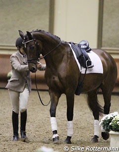 Dressage Olympian Catherine Henriquet showed the traditional work in-hand with her Holsteiner mare Carola at the "Premières Recontres de l'Equitation de Tradition Française" seminar in Saumur :: Photo © Silke Rottermann
