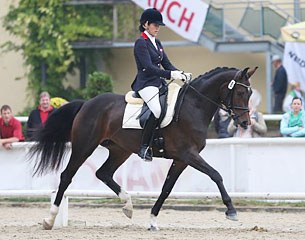 Stephanie Dearing and Feine Lady at the 2014 Austrian Young Horse Championships :: Photo © Stefan Seiberl
