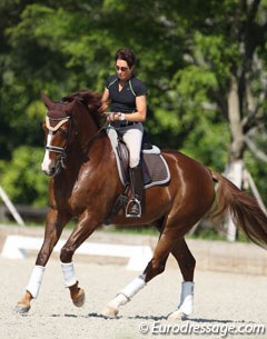 Christilot Boylen schooling Drentano at Stillpoint Farm in Wellington in 2014 :: Photo © Astrid Appels
