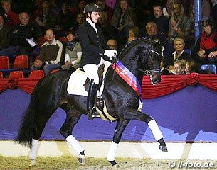 Frederic Wandres and Grey Flanell at the 2014 Oldenburg Stallion Licensing :: Photo © LL-foto