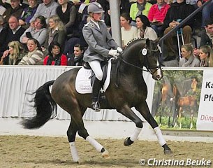 Furstenhof (by Furst Grandios x Weltmeyer x Alonso)
