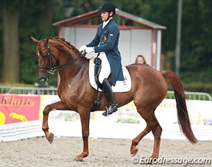 Spanish Jordi Domingo Coll returns to the international Grand Prix ring with the Hanoverian mare Wonder