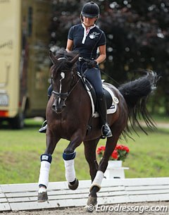Look who's back: Carola Koppelmann on former young horse World Champion Desperado