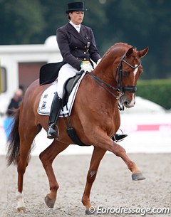 Carole Koppelmann on Deveraux B (by Dimension) at the 2014 CDI Verden :: Photo © Astrid Appels