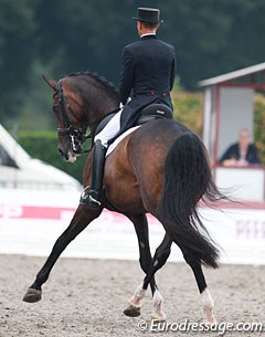 Steffen Peters on Legolas