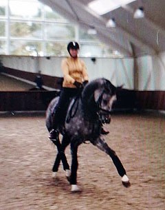 Alexandra Barbançon schooling Silvermoons Mariechen at home in Denmark 