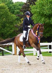Carly Taylor-Smith and Rosalut NHF Win the 4-year old division at the 2014 U.S. Young Horse Championships :: Photo © Carolynn Bunch